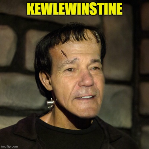 kewlewinstine | KEWLEWINSTINE | image tagged in kewlewinstine,kewlew | made w/ Imgflip meme maker