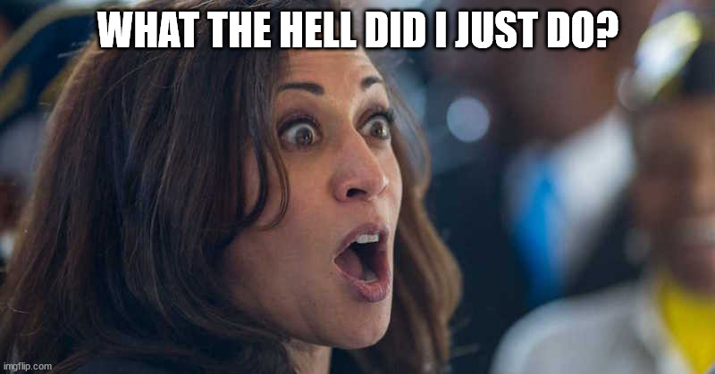 kamala harriss | WHAT THE HELL DID I JUST DO? | image tagged in kamala harriss | made w/ Imgflip meme maker