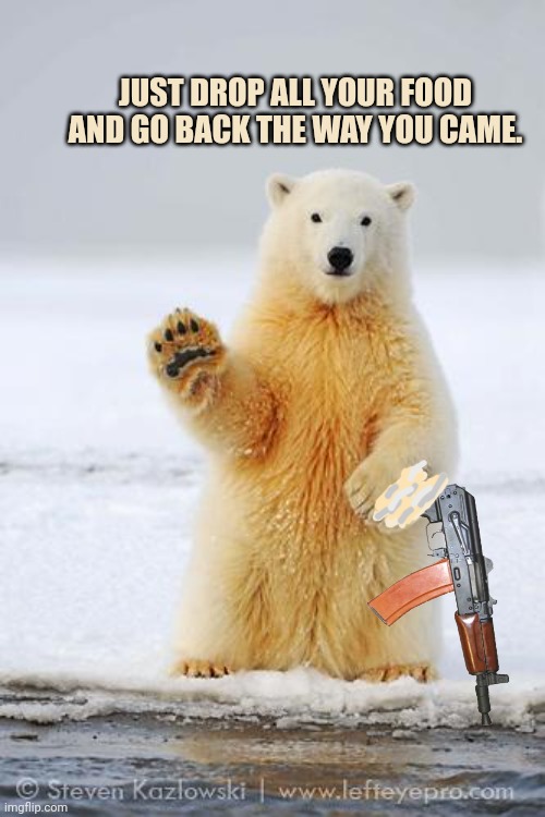 hello polar bear | JUST DROP ALL YOUR FOOD AND GO BACK THE WAY YOU CAME. | image tagged in hello polar bear | made w/ Imgflip meme maker