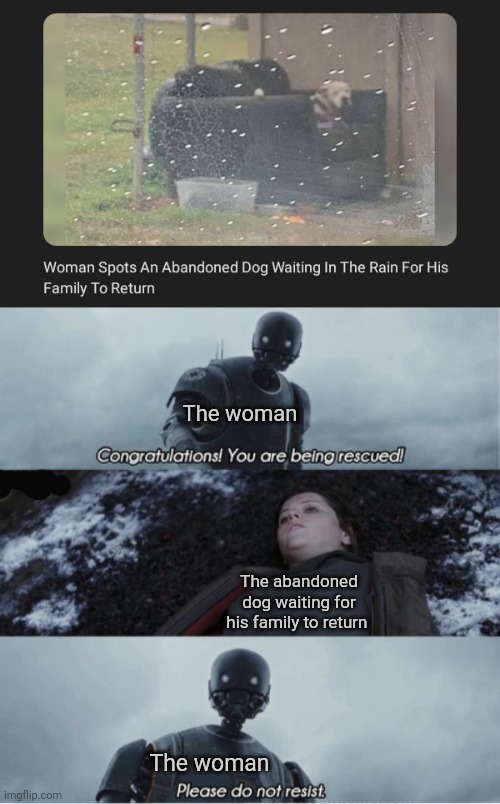 An abandoned dog | The woman; The abandoned dog waiting for his family to return; The woman | image tagged in congratulations you are being rescued please do not resist,dogs,dog,memes,meme,rain | made w/ Imgflip meme maker