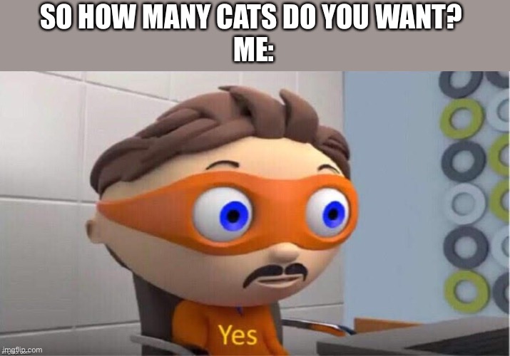 Me when cats | SO HOW MANY CATS DO YOU WANT? 
ME: | image tagged in protegent yes,cats | made w/ Imgflip meme maker