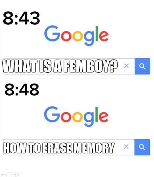 True story |  WHAT IS A FEMBOY? HOW TO ERASE MEMORY | image tagged in google before after | made w/ Imgflip meme maker