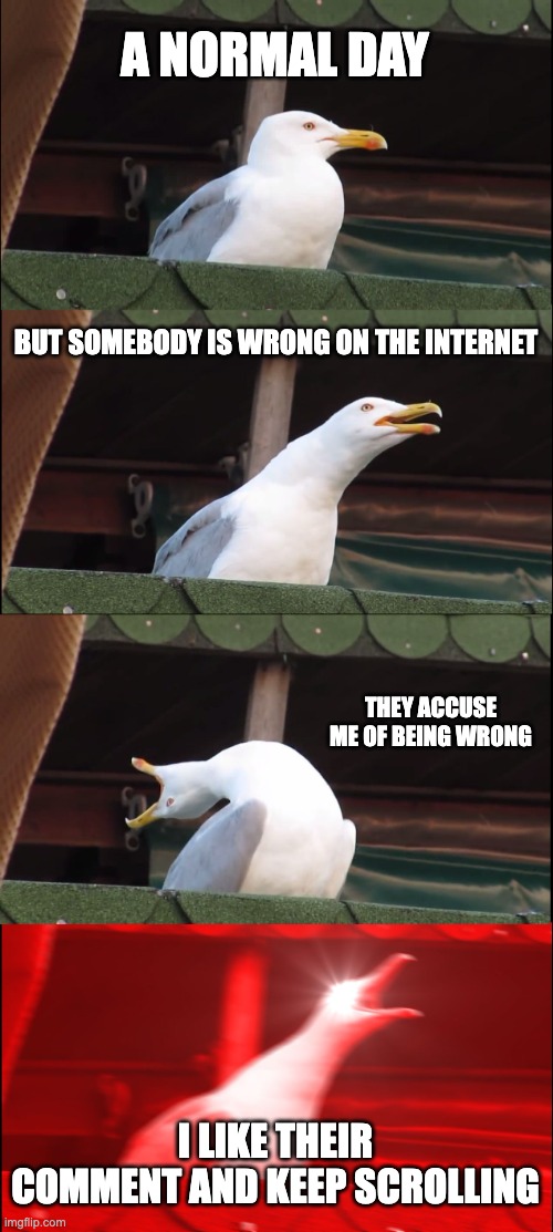 just get over it and move on rather than argue with some loser | A NORMAL DAY; BUT SOMEBODY IS WRONG ON THE INTERNET; THEY ACCUSE ME OF BEING WRONG; I LIKE THEIR COMMENT AND KEEP SCROLLING | image tagged in memes,inhaling seagull,wrong,internet,loser | made w/ Imgflip meme maker