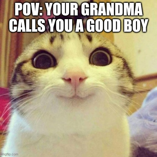 Smiling Cat | POV: YOUR GRANDMA CALLS YOU A GOOD BOY | image tagged in memes,smiling cat | made w/ Imgflip meme maker