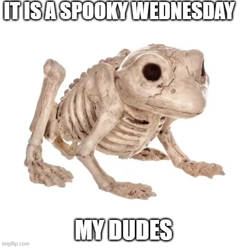 spooky | IT IS A SPOOKY WEDNESDAY; MY DUDES | image tagged in spooky | made w/ Imgflip meme maker