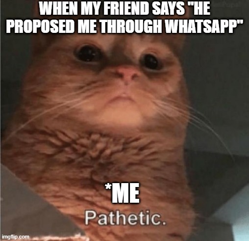 Pathetic Cat | WHEN MY FRIEND SAYS "HE PROPOSED ME THROUGH WHATSAPP"; *ME | image tagged in pathetic cat,girlfriend,proposal | made w/ Imgflip meme maker
