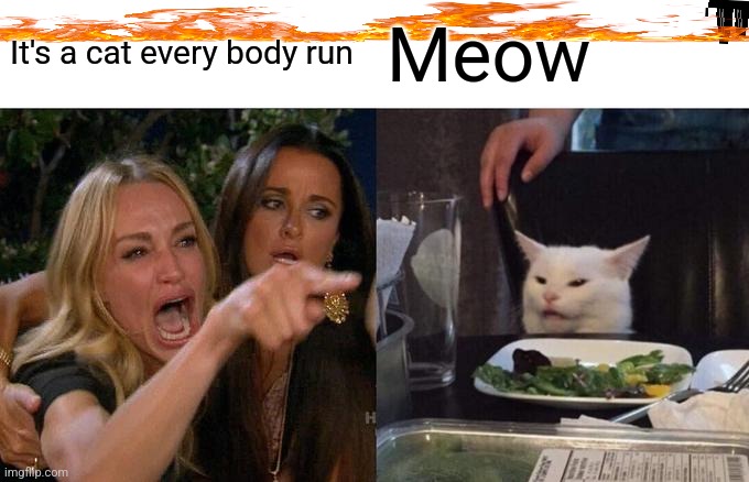 People in the 17th century be like | It's a cat every body run; Meow | image tagged in memes,woman yelling at cat | made w/ Imgflip meme maker