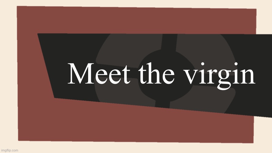 Meet the <Blank> | Meet the virgin | image tagged in meet the blank | made w/ Imgflip meme maker