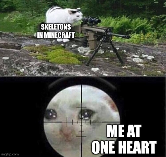 Sniper cat | SKELETONS IN MINECRAFT; ME AT ONE HEART | image tagged in sniper cat,minecraft | made w/ Imgflip meme maker