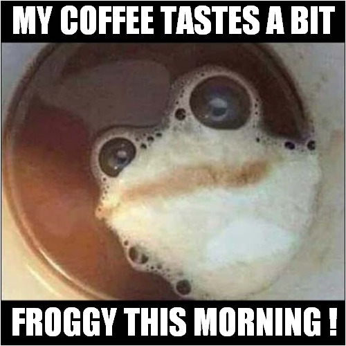 Something's Not Right ! | MY COFFEE TASTES A BIT; FROGGY THIS MORNING ! | image tagged in coffee,frogs | made w/ Imgflip meme maker