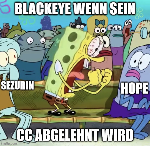 Spongebob Yelling |  BLACKEYE WENN SEIN; SEZURIN; HOPE; CC ABGELEHNT WIRD | image tagged in spongebob yelling | made w/ Imgflip meme maker