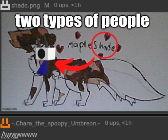 two types of people | made w/ Imgflip meme maker