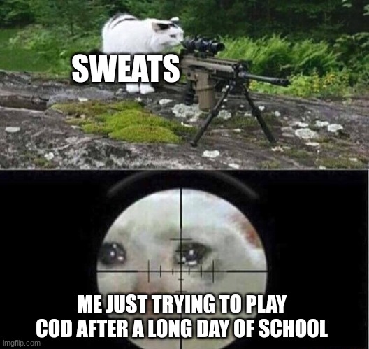 yay i got a ki.. YOU DIED TO  万圣节 | SWEATS; ME JUST TRYING TO PLAY COD AFTER A LONG DAY OF SCHOOL | image tagged in sniper cat,bruh,chinese,video games,call of duty,memes | made w/ Imgflip meme maker