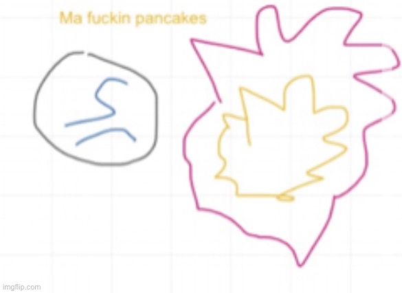 NOT THE PANCAKES | image tagged in not the pancakes | made w/ Imgflip meme maker