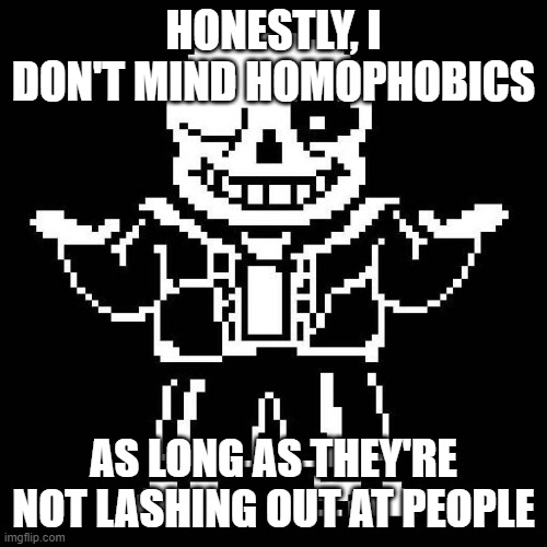 Most of them are quiet and chill tbh | HONESTLY, I DON'T MIND HOMOPHOBICS; AS LONG AS THEY'RE NOT LASHING OUT AT PEOPLE | image tagged in sans undertale | made w/ Imgflip meme maker