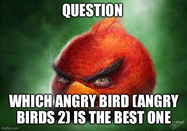 Realistic Red Angry Birds | QUESTION; WHICH ANGRY BIRD (ANGRY BIRDS 2) IS THE BEST ONE | image tagged in realistic red angry birds | made w/ Imgflip meme maker
