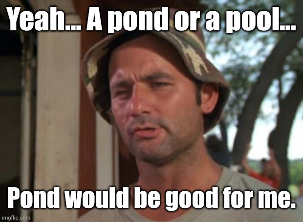 So I Got That Goin For Me Which Is Nice Meme | Yeah... A pond or a pool... Pond would be good for me. | image tagged in memes,so i got that goin for me which is nice | made w/ Imgflip meme maker