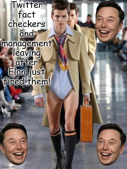 Twitter "Fact Checkers" and management after being fired by Elon Musk | Twitter fact checkers and management leaving after Elon just fired them! | image tagged in fact check,stupid people,morons,idiots,twitter birds says | made w/ Imgflip meme maker