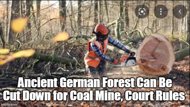 And Mumbles has us GOOSE STEPPING right behind Ole Angela Merkle | Ancient German Forest Can Be Cut Down for Coal Mine, Court Rules | image tagged in green weeny | made w/ Imgflip meme maker