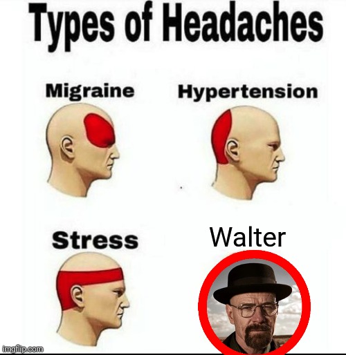 Types of Headaches meme | Walter | image tagged in types of headaches meme | made w/ Imgflip meme maker