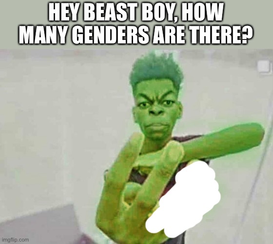 2 genders | HEY BEAST BOY, HOW MANY GENDERS ARE THERE? | image tagged in beast boy holding up 4 fingers | made w/ Imgflip meme maker