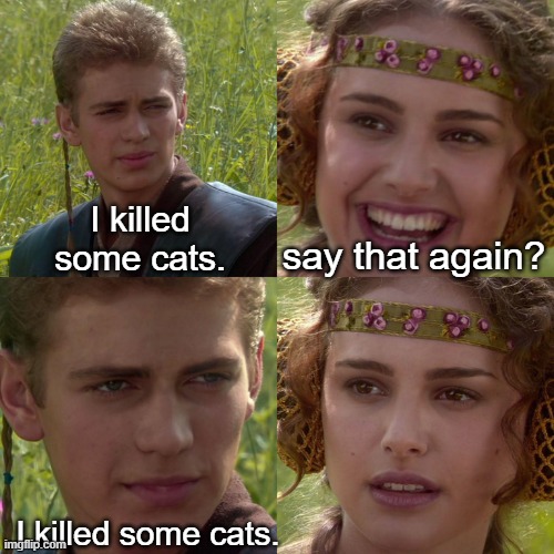 wait wut... | I killed
some cats. say that again? I killed some cats. | image tagged in anakin padme 4 panel | made w/ Imgflip meme maker