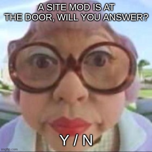 A SITE MOD IS AT THE DOOR, WILL YOU ANSWER? Y / N | made w/ Imgflip meme maker