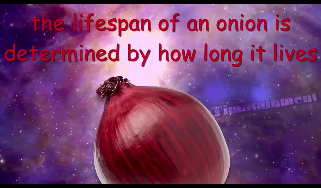 the lifespan of an onion is determined by how long it lives Blank Meme Template