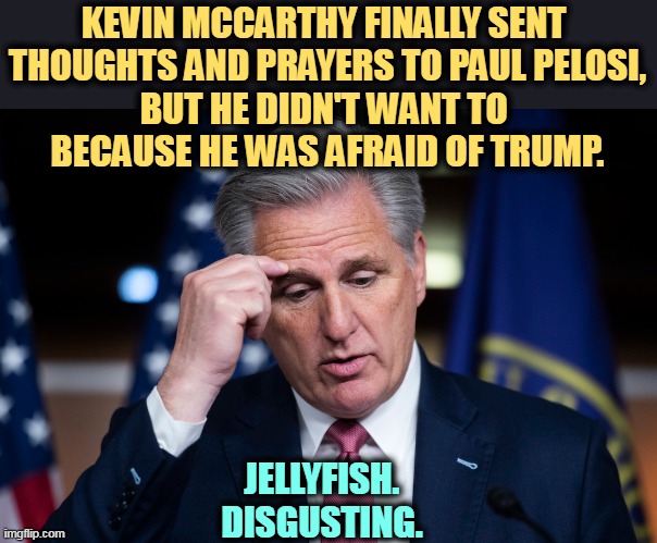 C'mon, Kevin, grow a pair. | KEVIN MCCARTHY FINALLY SENT 
THOUGHTS AND PRAYERS TO PAUL PELOSI,
BUT HE DIDN'T WANT TO 
BECAUSE HE WAS AFRAID OF TRUMP. JELLYFISH.
DISGUSTING. | image tagged in kevin mccarthy,spineless,jellyfish,weak,coward | made w/ Imgflip meme maker