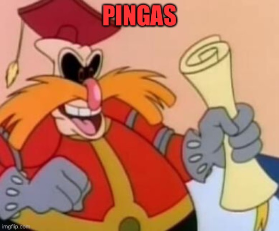 Pingas | PINGAS | image tagged in pingas | made w/ Imgflip meme maker