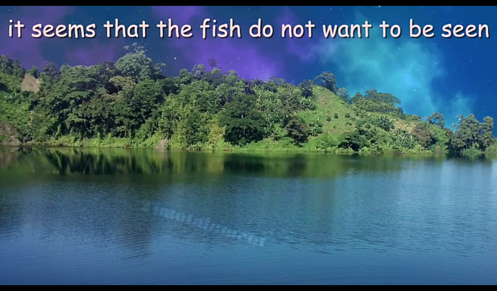 it seems that the fish do not want to be seen Blank Meme Template