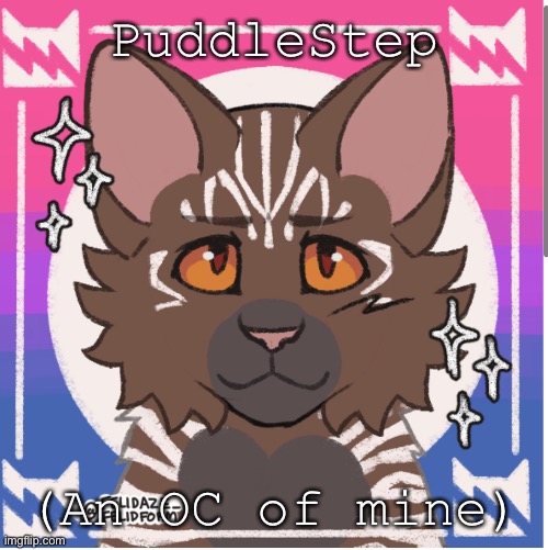 PuddleKit/PuddlePaw/PuddleStep | PuddleStep; (An OC of mine) | image tagged in warrior cats | made w/ Imgflip meme maker