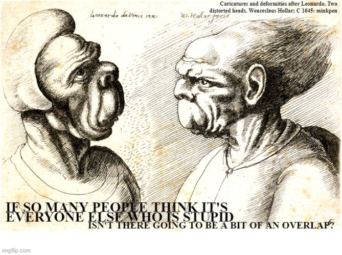 Only Stupid People Call Other People Stupid | image tagged in art memes,leonardo da vinci,etchings,grotesque caricatures,intellectual snobs,we're all stupid | made w/ Imgflip meme maker
