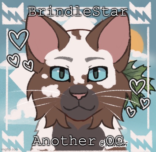 BrindleKit-BrindlePaw-BrindlePelt-BrindleStar | BrindleStar; Another OC | image tagged in isndbdiejejjddhd | made w/ Imgflip meme maker