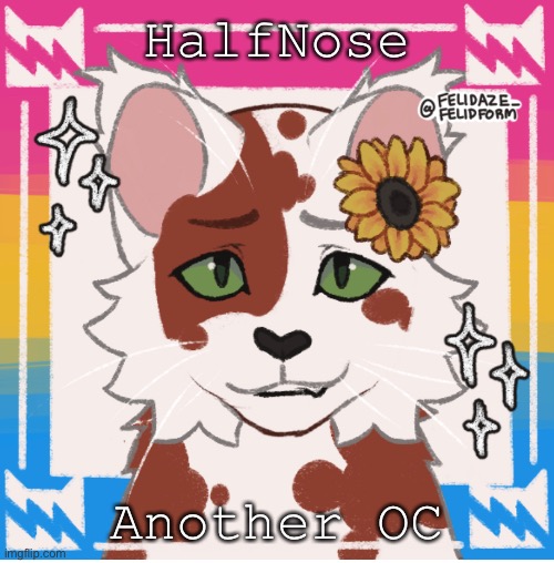 HalfKit-HalfPaw-HalfNose | HalfNose; Another OC | image tagged in ishdbdhshhddd | made w/ Imgflip meme maker