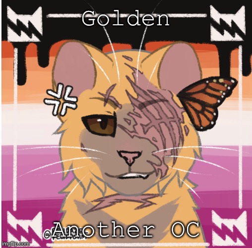 Golden-GoldenTail-Golden | Golden; Another OC | image tagged in skjdbfmddohrr | made w/ Imgflip meme maker