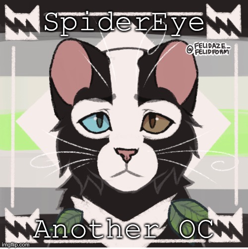 SpiderKit-SpiderPaw-SpiderEye | SpiderEye; Another OC | image tagged in oh wow are you actually reading these tags | made w/ Imgflip meme maker