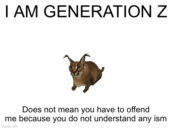 I’m generation z | I AM GENERATION Z; Does not mean you have to offend me because you do not understand any ism | image tagged in blank white template,generation z | made w/ Imgflip meme maker