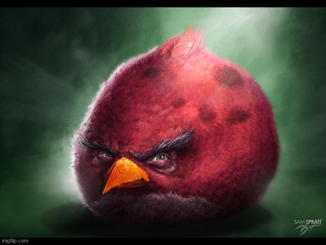 Realistic Angry Bird (big red) | image tagged in realistic angry bird big red | made w/ Imgflip meme maker