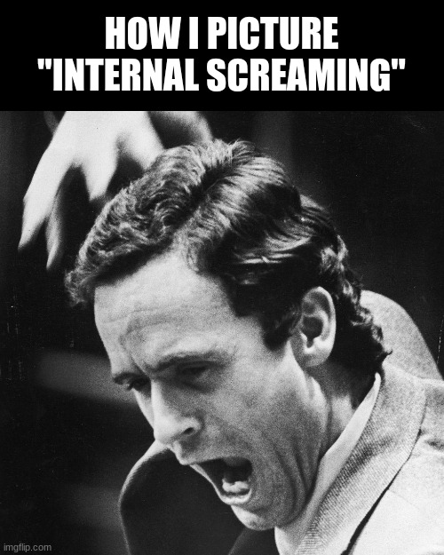 HOW I PICTURE
"INTERNAL SCREAMING" | image tagged in ted bundy,ted bundy memes,dark humor,internal screaming,bundy funnies,true crime memes | made w/ Imgflip meme maker