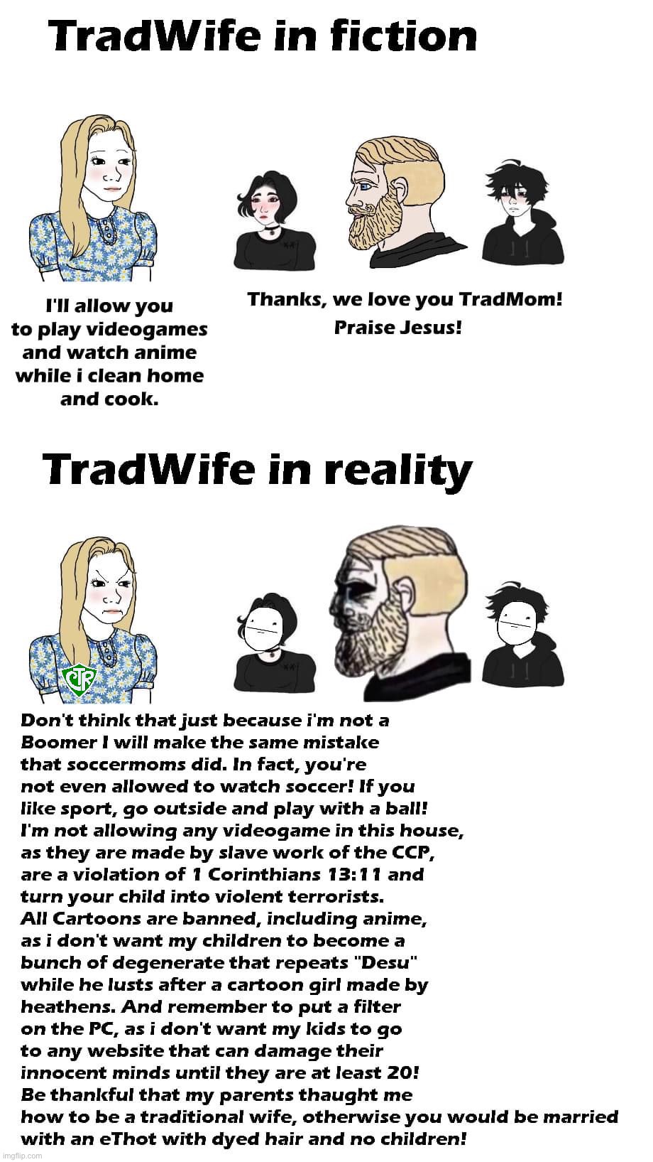 Vote CRT to make Imgflip a safer place for the children. | image tagged in tradwife fiction vs reality,vote,crt,think of the children,online safety,tradwife | made w/ Imgflip meme maker