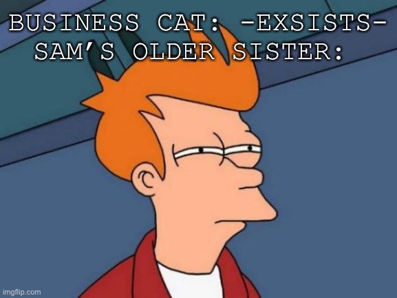Bro she hates him. But she hates the whole Kool•Krew | BUSINESS CAT: -EXSISTS-
SAM’S OLDER SISTER: | image tagged in memes,futurama fry | made w/ Imgflip meme maker