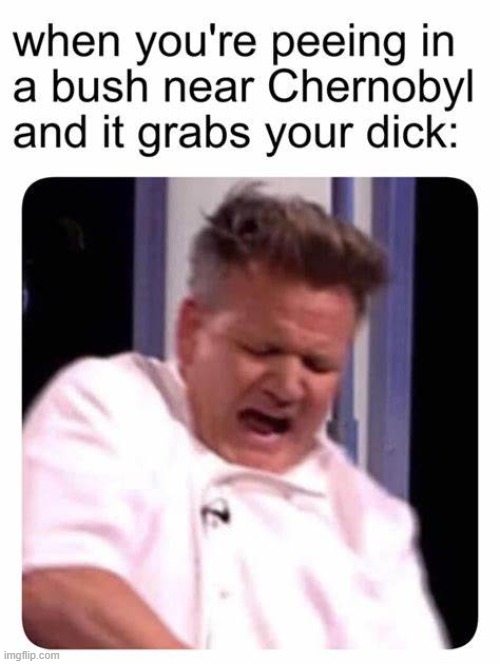 (。_。) | image tagged in chef gordon ramsay,chernobyl | made w/ Imgflip meme maker