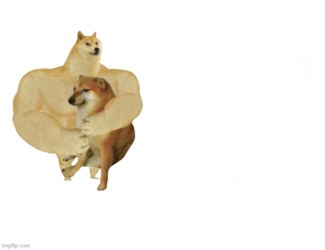 buff doge x cheems | image tagged in memes,buff doge vs cheems | made w/ Imgflip meme maker