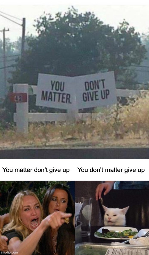 Fail | You matter don’t give up; You don’t matter give up | image tagged in memes,woman yelling at cat | made w/ Imgflip meme maker