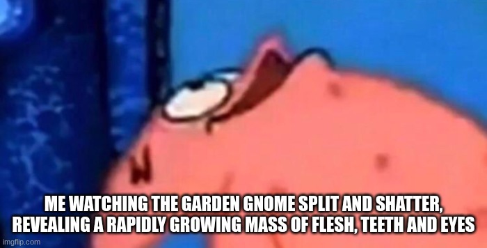 this may be what gnome from good night looks like????? | ME WATCHING THE GARDEN GNOME SPLIT AND SHATTER, REVEALING A RAPIDLY GROWING MASS OF FLESH, TEETH AND EYES | made w/ Imgflip meme maker