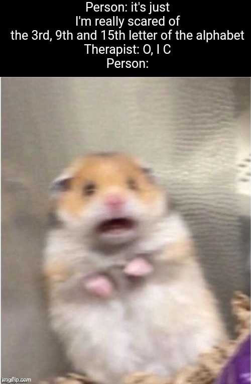 Therapy | Person: it's just I'm really scared of the 3rd, 9th and 15th letter of the alphabet
Therapist: O, I C
Person: | image tagged in scared hamster | made w/ Imgflip meme maker