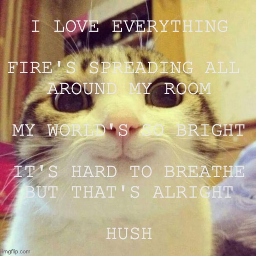 not this being stuck in my head | I LOVE EVERYTHING
 
FIRE'S SPREADING ALL 
AROUND MY ROOM
 
MY WORLD'S SO BRIGHT
 
IT'S HARD TO BREATHE
BUT THAT'S ALRIGHT
 
HUSH | made w/ Imgflip meme maker