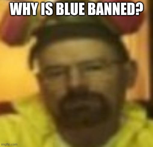 . | WHY IS BLUE BANNED? | made w/ Imgflip meme maker