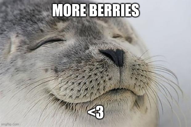 Satisfied Seal Meme | MORE BERRIES <3 | image tagged in memes,satisfied seal | made w/ Imgflip meme maker